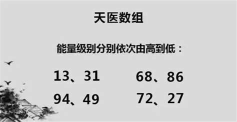 天醫磁場|數位磁場能量分析——天醫陣列磁場